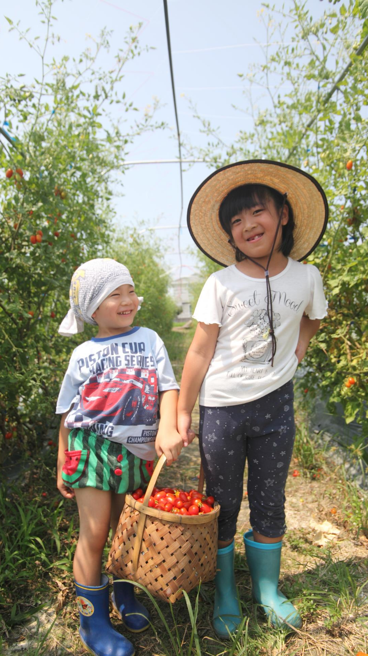 HOME - 泉州水ナスと伝統野菜の生産販売 | 川崎農園 川崎農園直送野菜