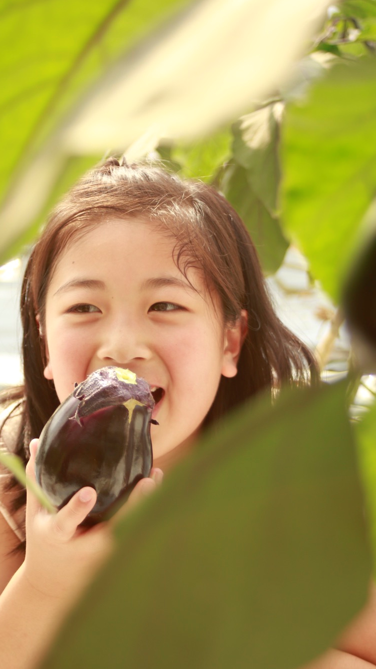 HOME - 泉州水ナスと伝統野菜の生産販売 | 川崎農園 川崎農園直送野菜
